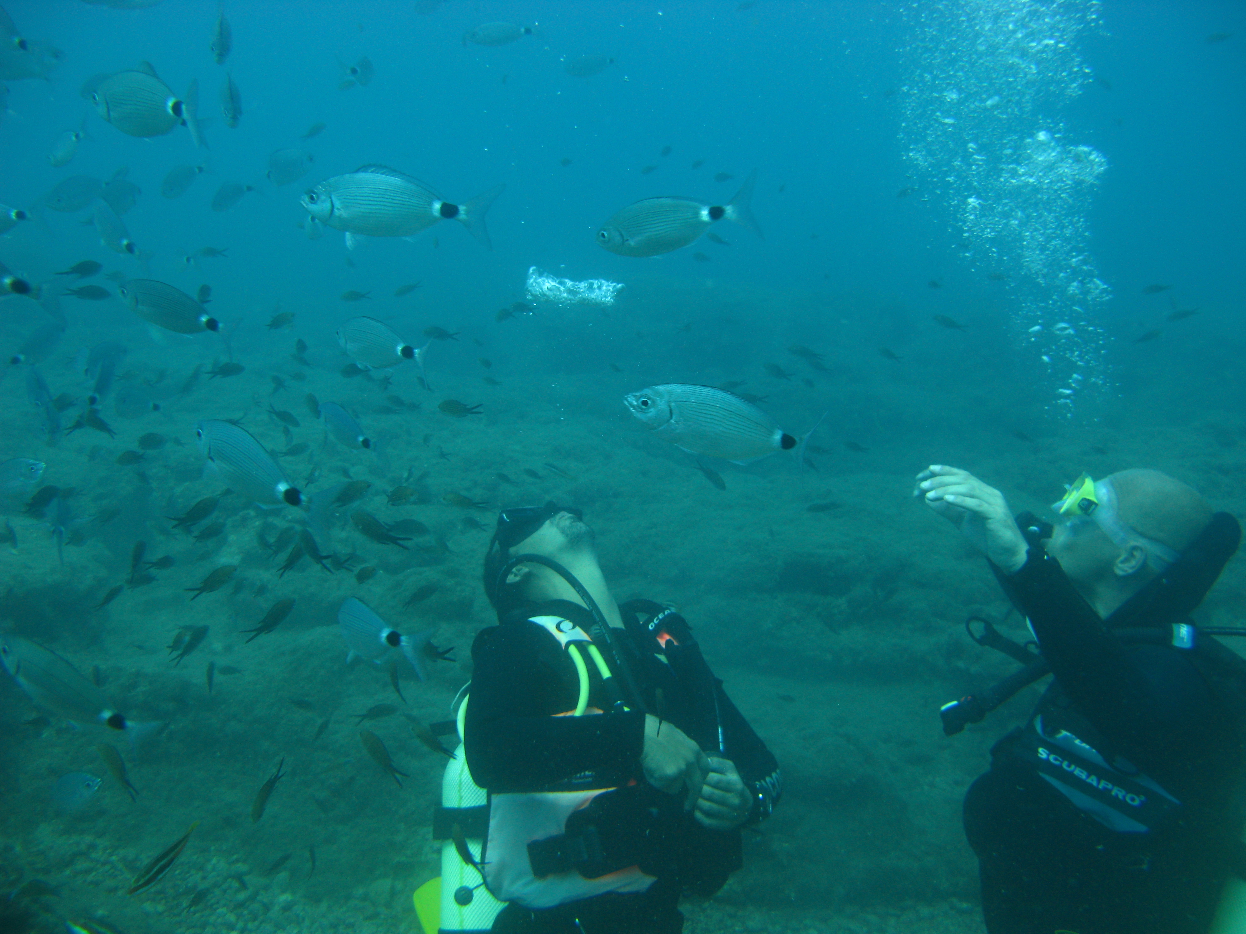 Antalya K�pr�l� Kanyon Scuba Diving Dal�� Turu