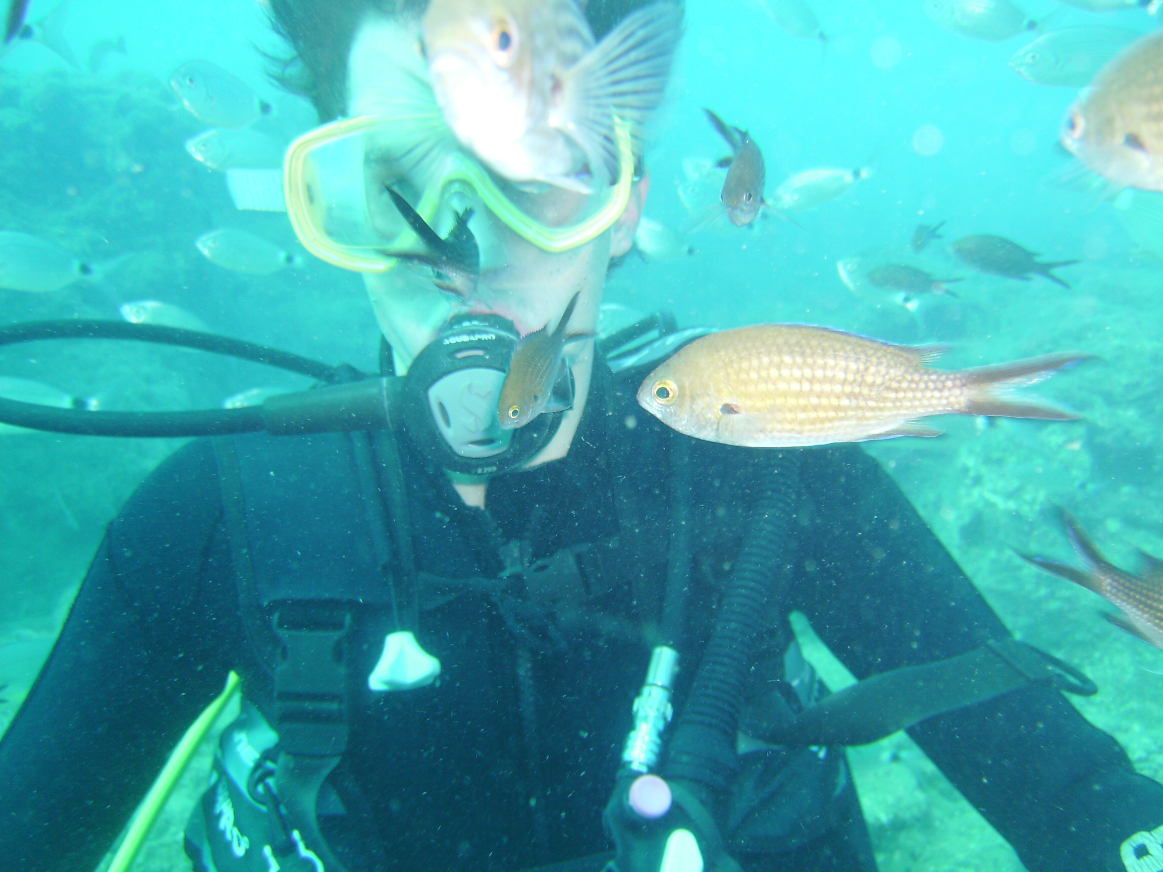 Antalya K�pr�l� Kanyon Scuba Diving Dal�� Turu