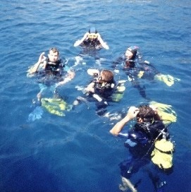 Antalya K�pr�l� Kanyon Scuba Diving Dal�� Turu