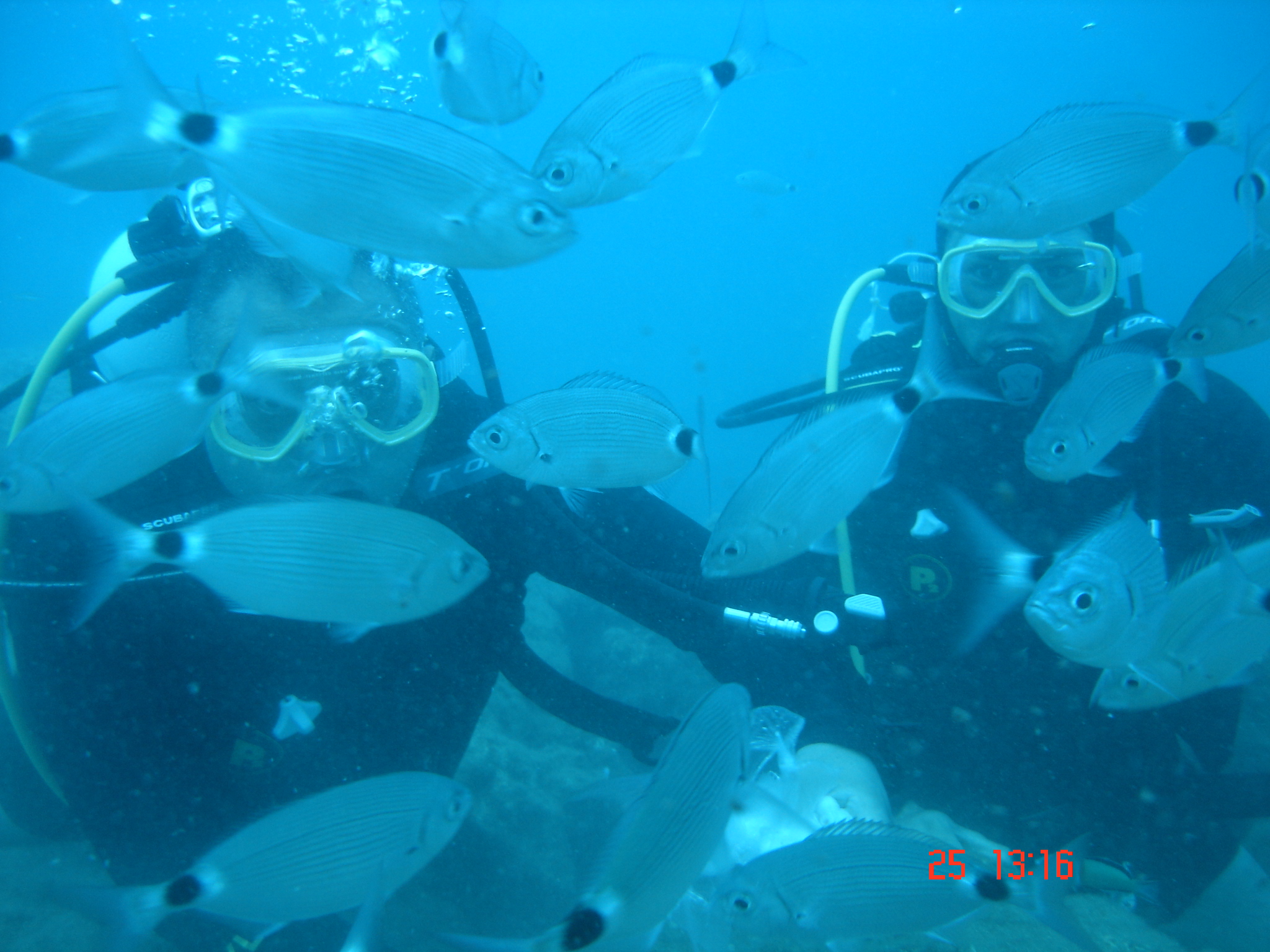 Antalya K�pr�l� Kanyon Scuba Diving Dal�� Turu