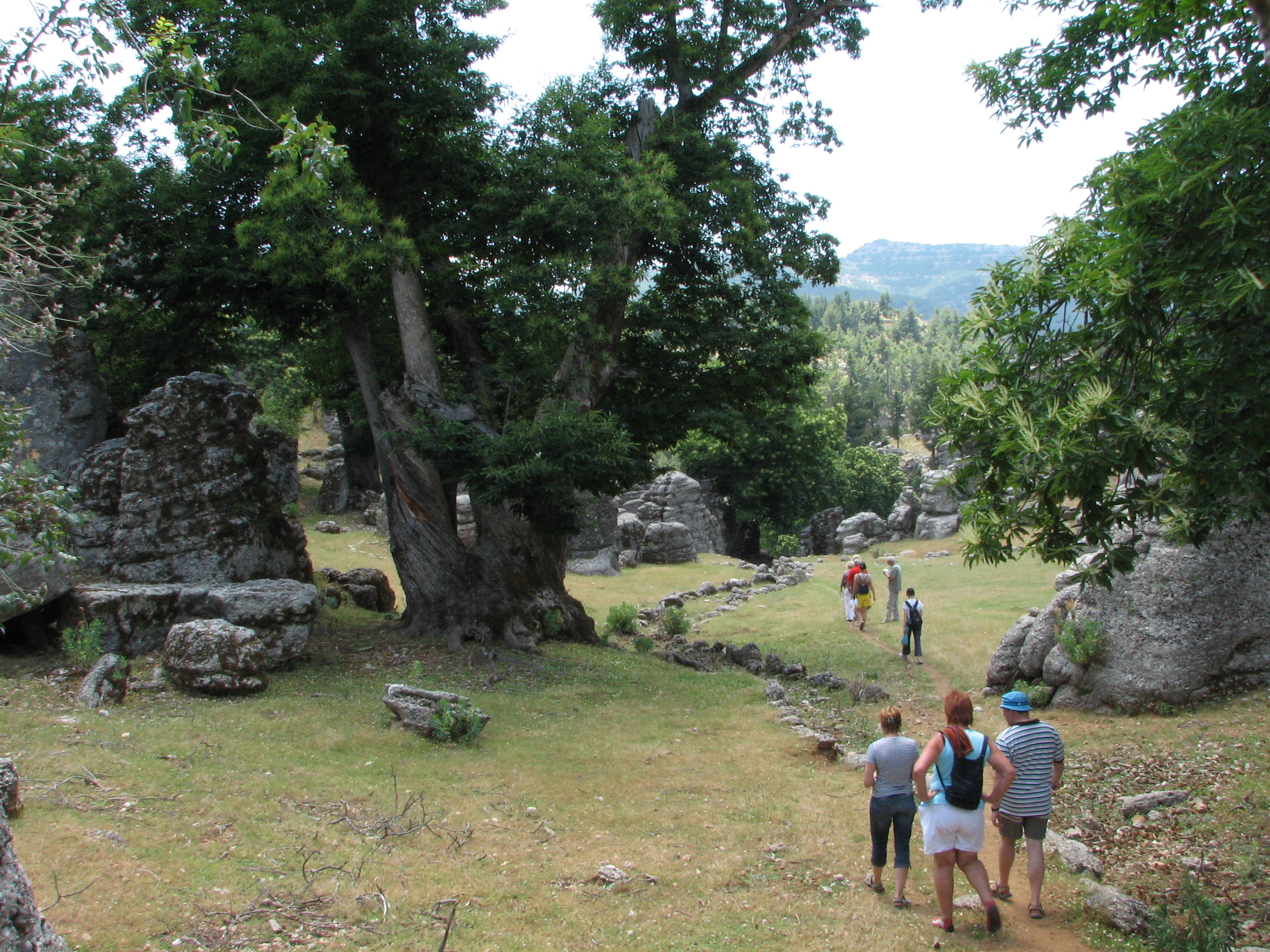 Antalya K�pr�l� Kanyon Trekking Do�a Y�r�y��� ve K�y Turlar�